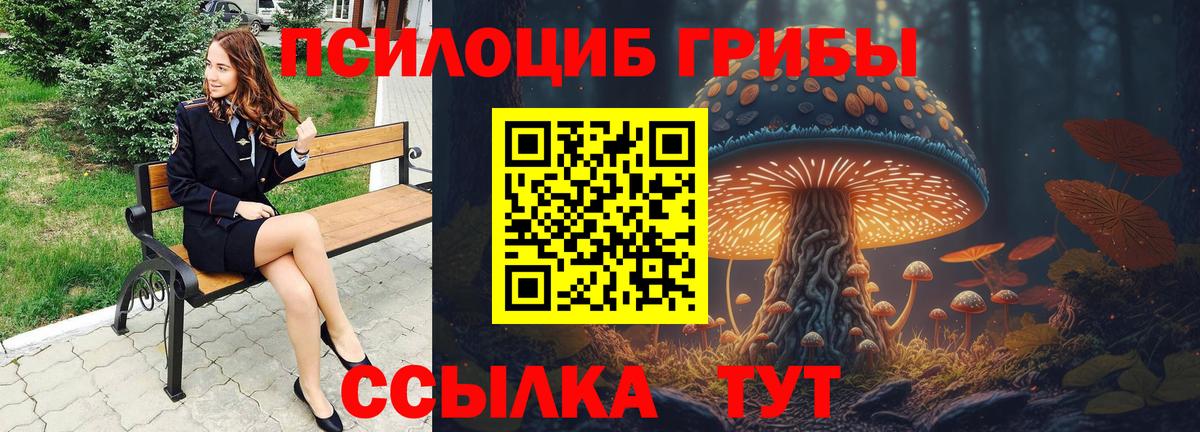 Галлюциногенные грибы ЛСД  Вход с VPN  Гусь-Хрустальный  Галлюциногенные грибы GOLDEN TEACHER 