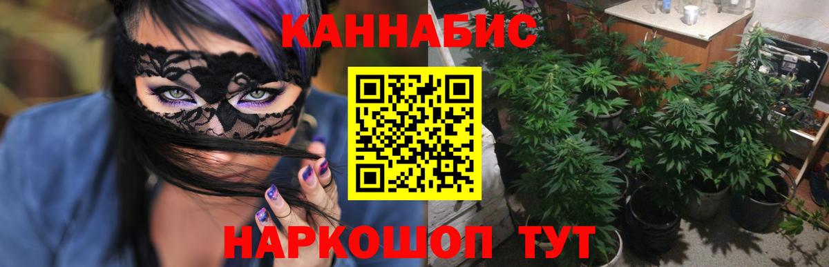 Конопля ГИДРОПОН  Вход с VPN  Канабис марихуана  Гусь-Хрустальный  Марихуана план 